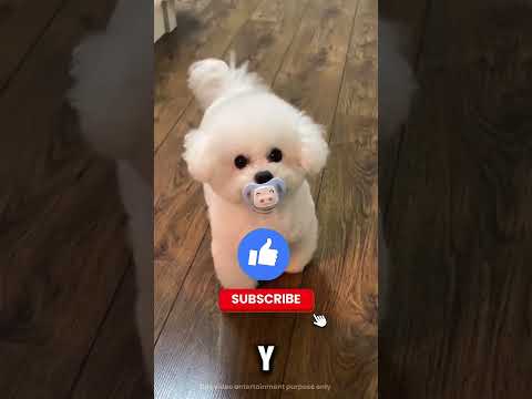 ¡Siempre se le caían las palomitas hasta que creó este invento increíble! 🍿😲