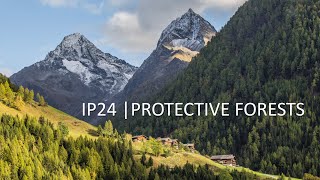 INTERPRAEVENT 2024 | Protective Forests