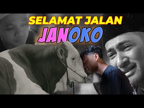 TERIMAKASIH JANOKO 😭