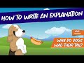 Understanding Dog Behavior and Communication