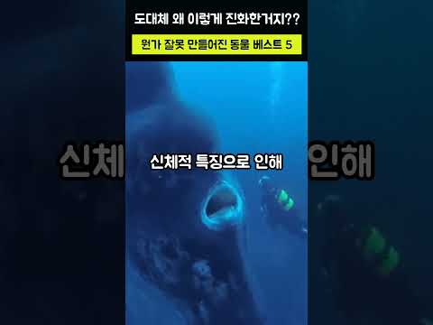 뭔가 잘 못 만들어진것 같은 동물 BEST 5 #shorts