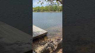 Dual Kitchen Lake House on Lake Omaha