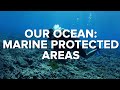Marine Conservation and Biodiversity