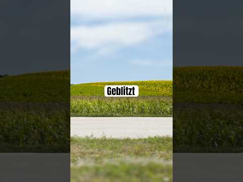 Geblitzt #blitzer #traffic #meme