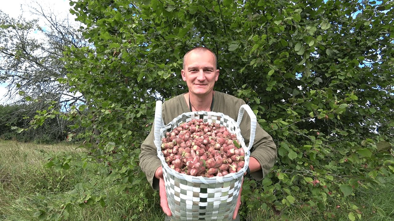 Я такого в жизни не видел! 210