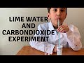 Lime Water Experiment Concepts
