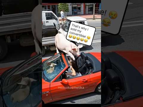 That's why I sold my convertible! #automobile #funnyvideos