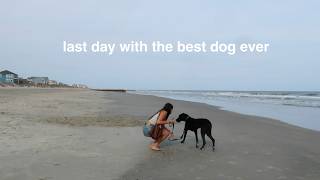 last day with the best dog ever