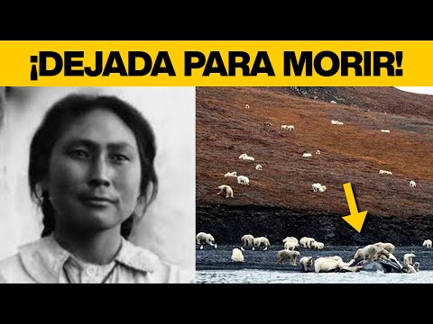 La dejaron sola en el Ártico con osos polares, y 2 años después regresaron y encontraron esto