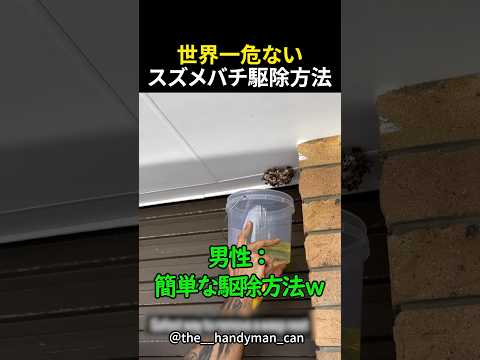 絶対に真似してはいけないハチ駆除の方法
