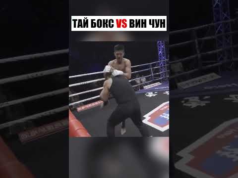 Красивые движения не спасли: Муай Тай разбил фаната Ип Мана #shorts