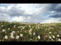 Conservation Photography and the Great Plains