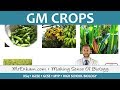 Benefits and Concerns of GM Crops