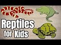 Reptile Characteristics and Features