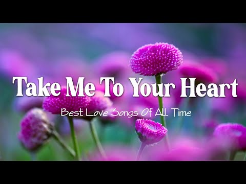 Take Me To Your Heart