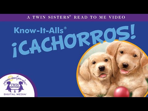 ¿Sabes qué raza de perro es mejor para ti y tu familia?