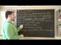 Frog Life Cycle Concepts