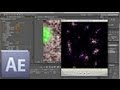 Simulating the Universe with After Effects