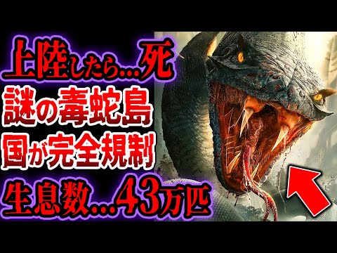 命の保証無し...最凶毒蛇島..生息数４３万匹...政府が上陸規制...この島ヤバすぎる【ゆっくり解説】