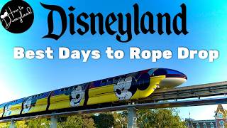 Want to get the most from your ROPE DROP DAY?