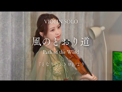 風のとおり道「となりのトトロ」より（VIOLIN SOLO）