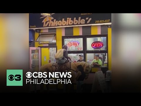 A very Philly drive-thru, Harry Potter series and more | What's Trending