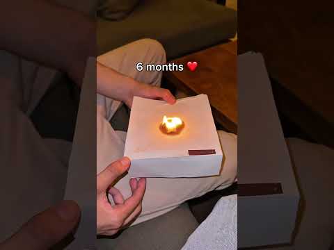 Best gift ever