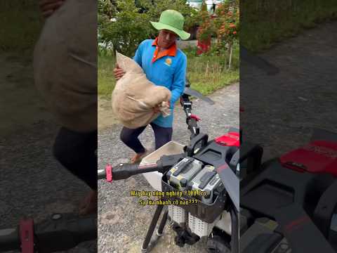Máy bay P100 pro sạ lúa nhanh cỡ nào??? #maybayphunthuoc #maybaysalua  #3miendrone #kietdrone
