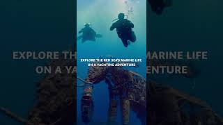 Red Sea Yacht Adventure