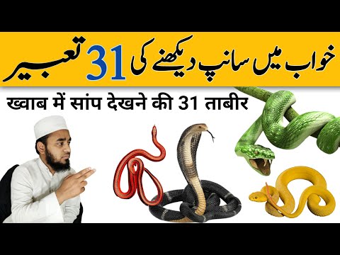 Khwab Mein Saanp Dekhne Ki 31 Tabeer | Khwab Mein Saanp Dekhna | Khwab Mai Saanp Ki Tabeer