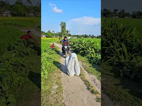 Jumping in the middle of the road 5