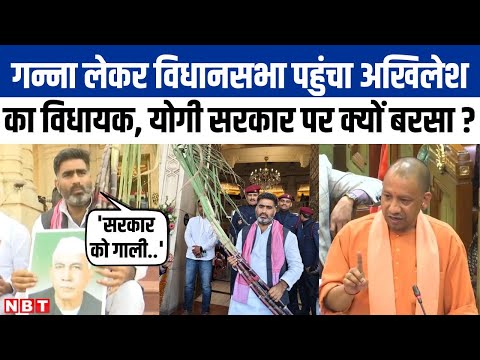 UP Vidhan Sabha Session: बेड़ियों के बाद अब गन्ना लेकर विधानसभा पहुंचे Atul Pradhan क्या बोले ?