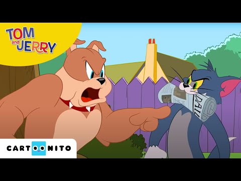 Tom și Jerry | Câinele Tom | Cartoonito