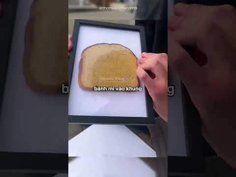 Trò Đùa Ngớ Ngẩn Tại Bảo Tàng