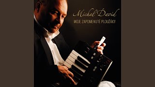 Michal David   Kam tak náhle pospícháš