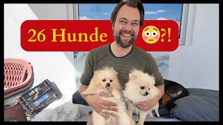 26 Hunde, 13 Katzen – und eine Frau, die alles gibt #91