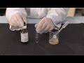 Testing for Fats, Sugars, and Proteins
