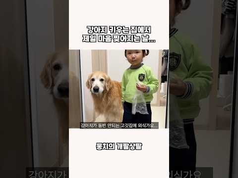 강아지 키우는 집에서 제일 마음 찢어지는 날 ㅠㅠ