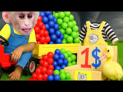A Day with Obi: Monkey Hustles for Cash | ANIMALS LIFE
