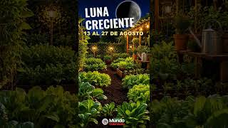 🌙 Fases Lunares para Huerto - Agosto 2026 | Calendario de Siembra