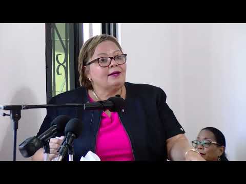 YouTube video thumbnail: Pressure Mounts on Government to Release Joseph Budna Surveillance Footage