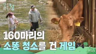 160마리의 소똥 청소를 건 게임🎮 “ 청소하기 싫어요😢 ” [가는정 오는정 이민정] | KBS 250725 방송