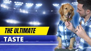 How to determine your dog's favorite food!