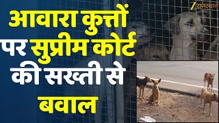 SC Decision on Street Dogs: आवारा कुत्तों पर Supreme Court की सख्ती से बवाल | Street Dog |Hindi News