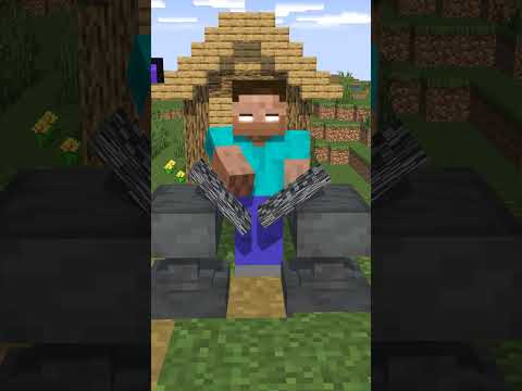 "???"  #minecraft #animation