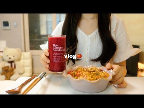 vlog | 여름맞이 자두청 🥭 멘보샤, 토마토계란볶음, 수제 피클, 점심도시락싸며 보낸 일상, 디저트 맛집 카페투어