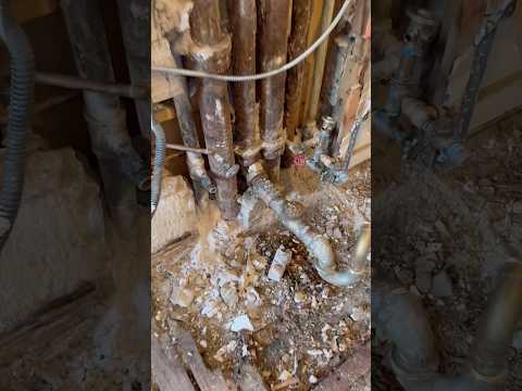 Kitchen renovations are easy #nyc