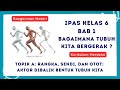 Understanding the Human Body's Movement System