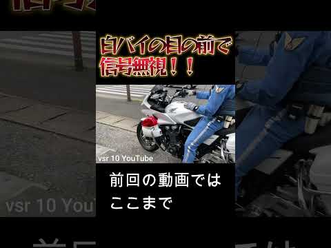 まさかの目の前で信号無視　白バイ神対応【前動画の続き】