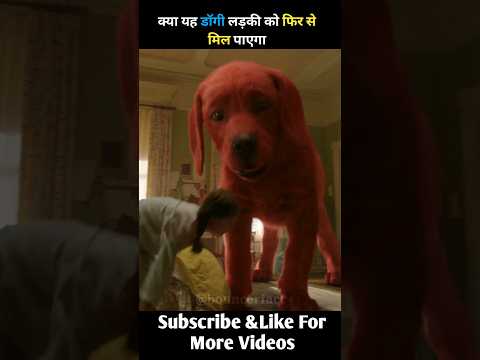 क्या यह डॉगी लड़की को फिर से मिल पाएगा#shorts #short
